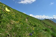29 Procedo in piano sul sent. 101 panoramico sulla Valle Brembana